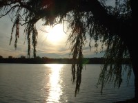 potomac