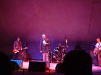 lungfish