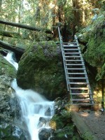 mt tam