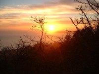 mt tam