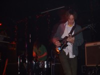 animal collective