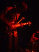 deerhoof