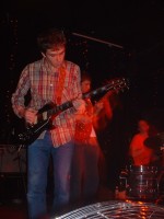 deerhoof