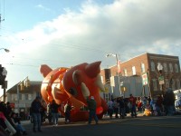 hampden christmas parade