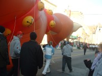 hampden christmas parade