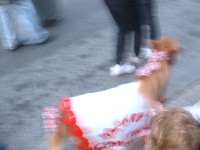 hampden christmas parade